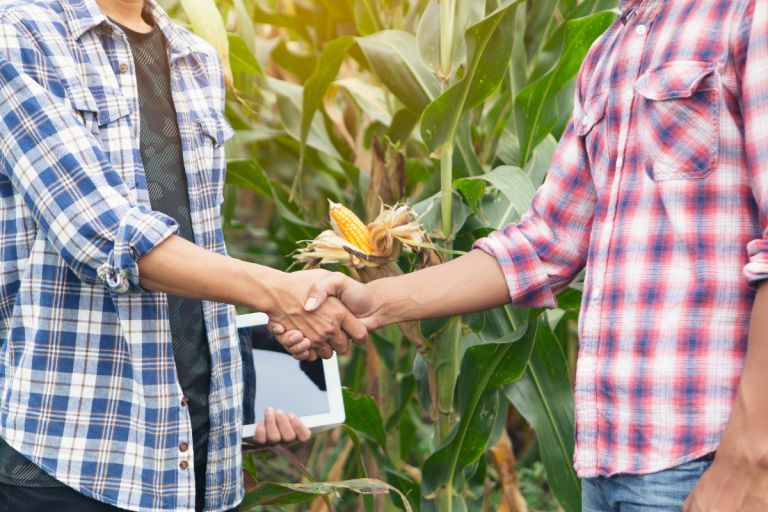 BTSa Analyse, Conduite et Stratégie de l&rsquo;entreprise AGRIcole- ACS&rsquo; AGRI