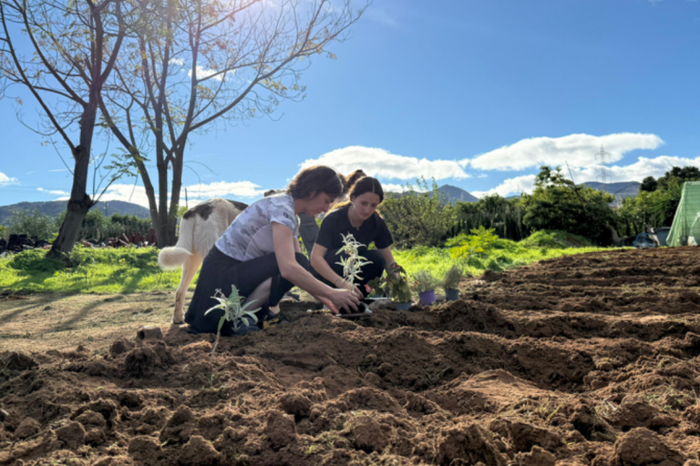 Action préparatoire aux métiers de l&rsquo;agriculture