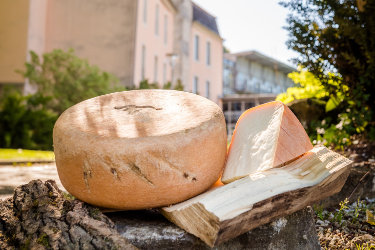 Élevage Ovin et Transformation Fromagère – SIL OVIN