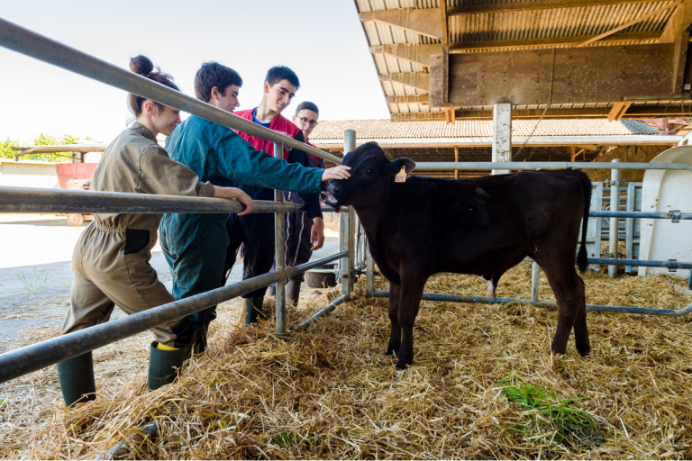 CAPa Métiers de l&rsquo;Agriculture – MA