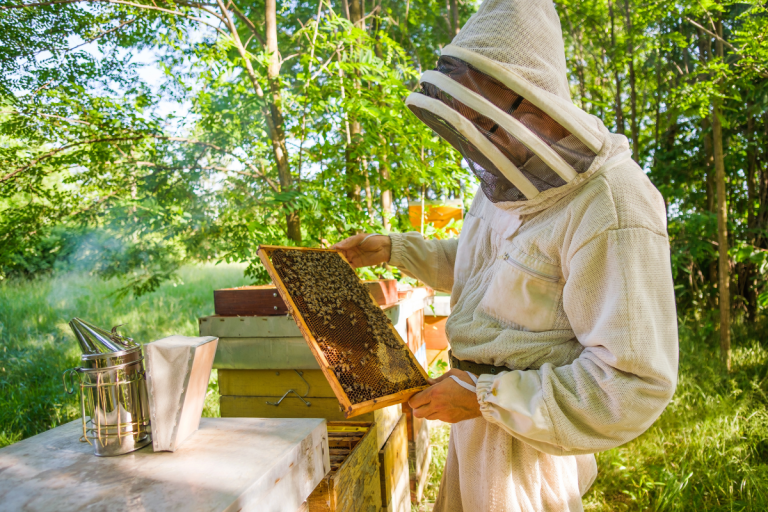 UCARE Apiculture