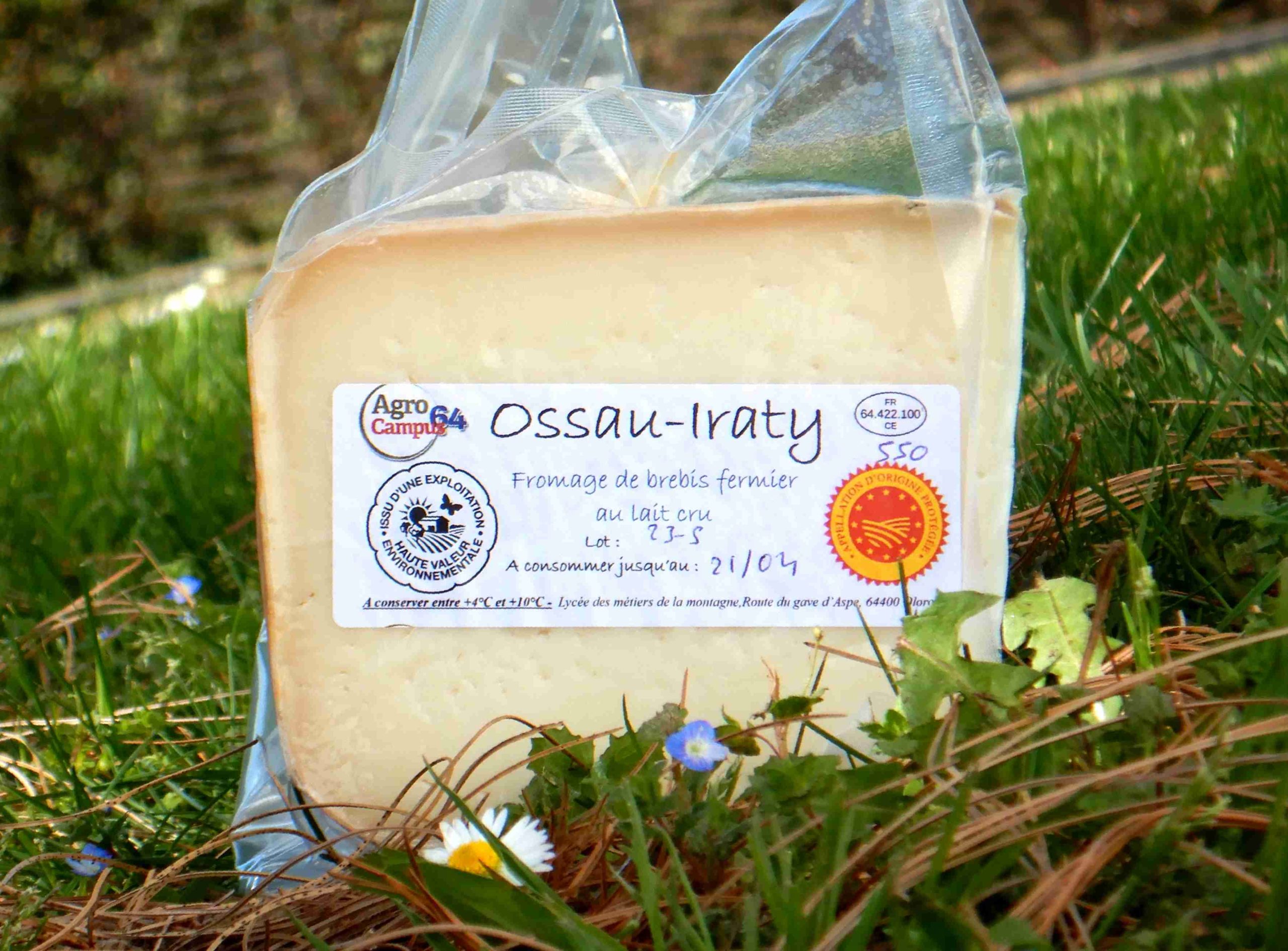 Fromage de Brebis : Ossau-Iraty
