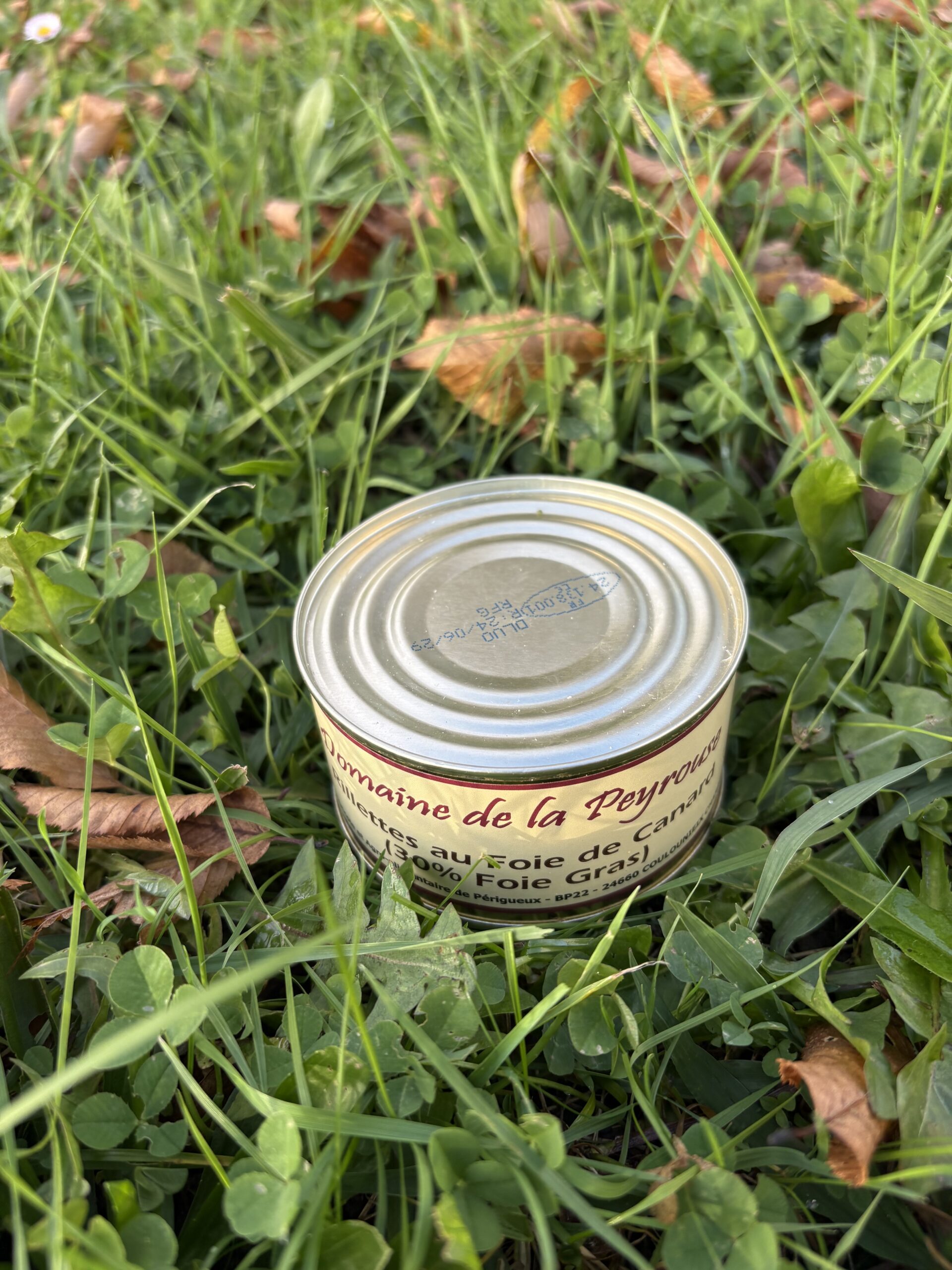Rillettes au Foie de Canard