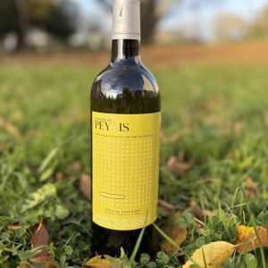 Domaine de Peyris - IGP Côtes de Gascogne 2022
