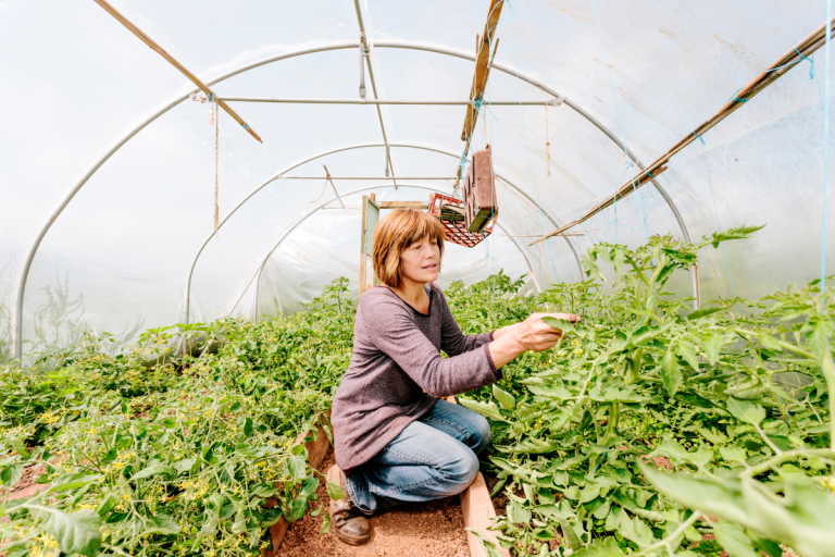 CAPa Métiers de l’Agriculture – MA (horticulteur/horticultrice)