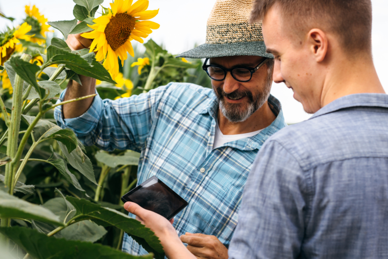 Licence Professionnelle Valorisation des Agro‑ressources : Conseil et Stratégie en Agriculture et Agro‑ressources