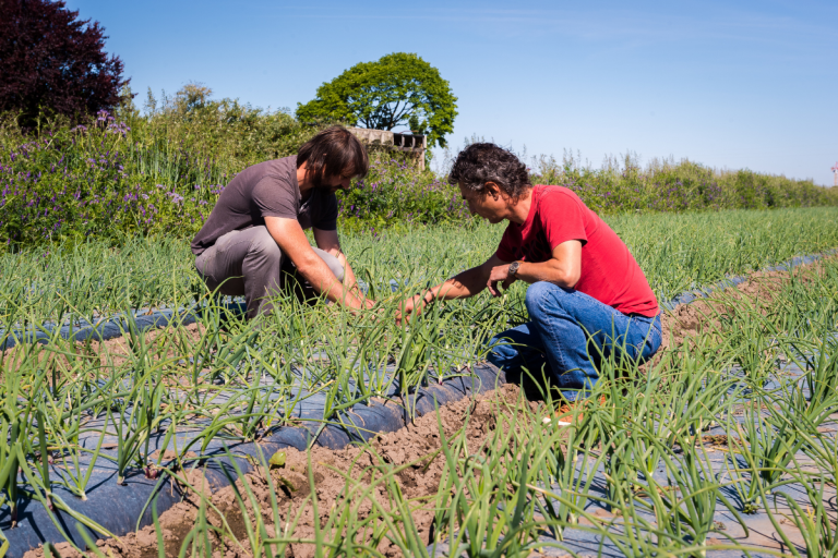 Brevet Professionnel Responsable d’Entreprise Agricole – BPREA