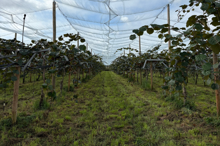 UCARE Arboriculture
