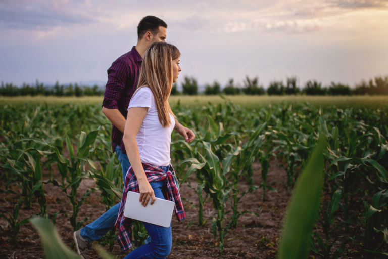 Bac pro Conduite et Gestion de l&rsquo;Entreprise Agricole – CGEA