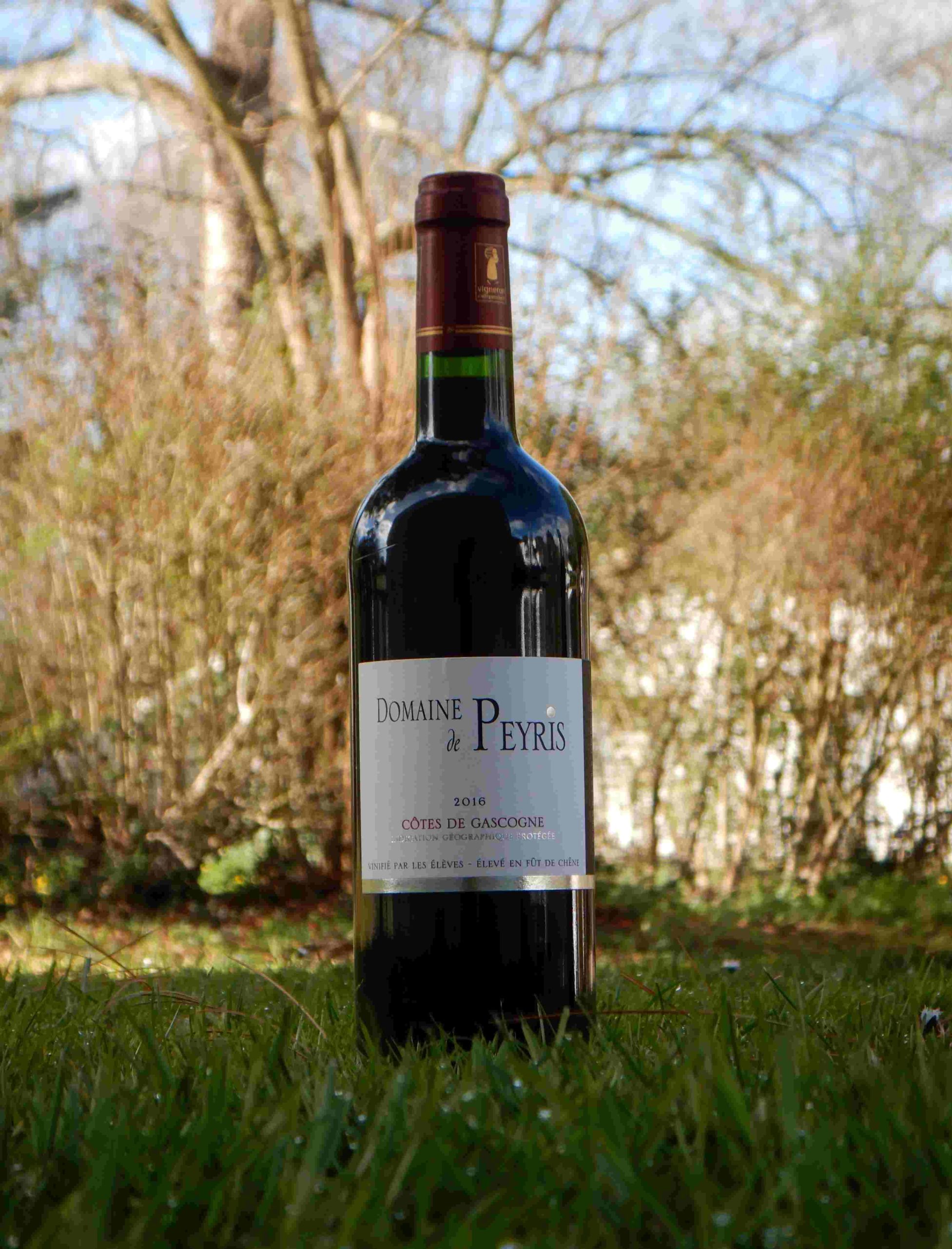 Domaine de Peyris: Riscle, IGP Côtes de Gascogne, rouge