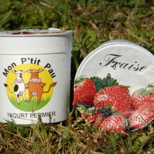Yaourt aromatisé fraise 125 ml x 12