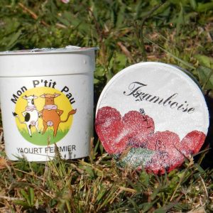 Yaourt aromatisé Framboise 125 ml x 12