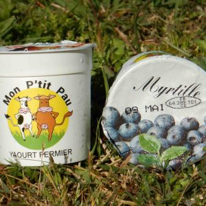Yaourt aromatisé Mytille 125 ml x 12
