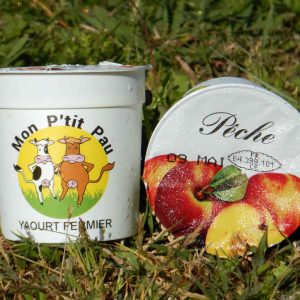 Yaourt aromatisé pêche 125 ml x 12