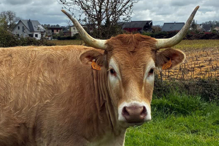 CAPa Métiers de l&rsquo;Agriculture – MA