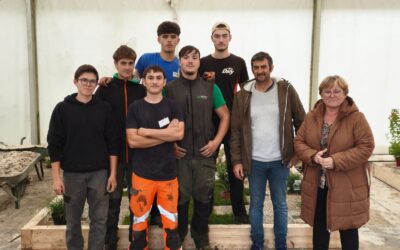 Concours du Meilleur Apprenti de France (MAF) – Filière Paysage
