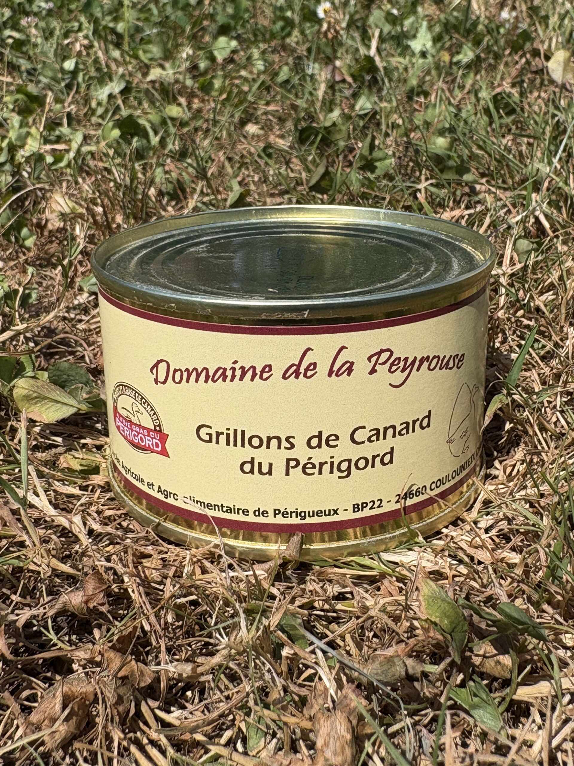 Grillons de Canard