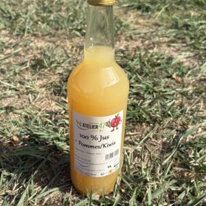 Jus de pomme/kiwi 1L