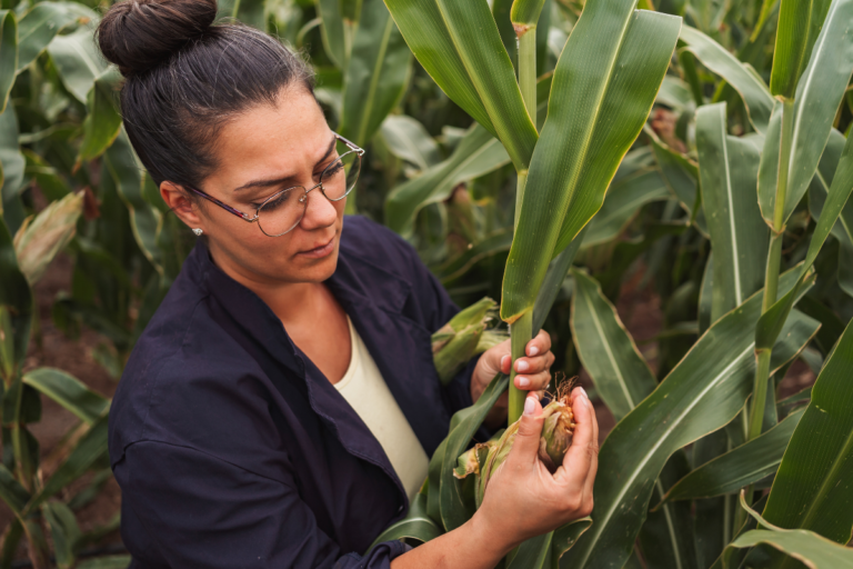 Bachelor Agro : Entreprendre, accompagner et manager en agriculture